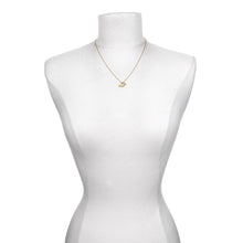 Load image into Gallery viewer, The AstroTwins Aquarius Zodiac Necklace