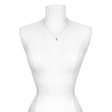 Load image into Gallery viewer, Divine Aegis Necklace