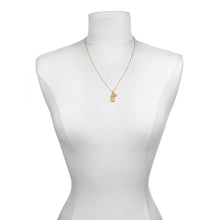 Load image into Gallery viewer, Lakshmi Hindu Goddess, Awaken Abundance Necklace
