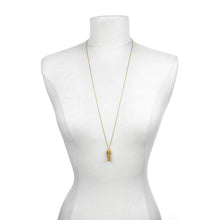 Load image into Gallery viewer, Secret Dreams Gold Locket Necklace

