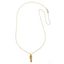 Load image into Gallery viewer, Secret Dreams Gold Locket Necklace
