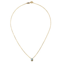 Load image into Gallery viewer, In Search of Truth Necklace
