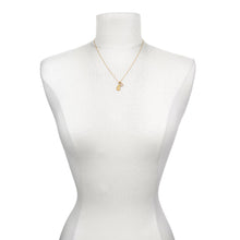 Load image into Gallery viewer, Lakshmi Hindu Goddess, Good Fortune Necklace
